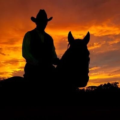 ramiroajalpense's profile picture. 