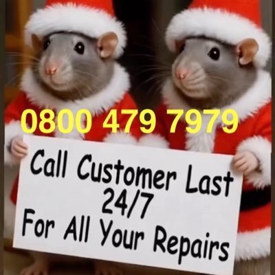 EggScott34332's profile picture. 