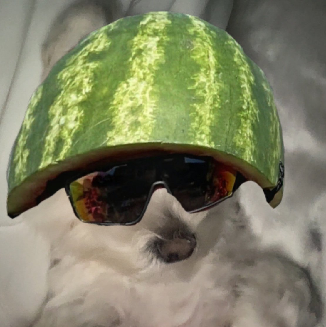 gragragrant01's profile picture. 