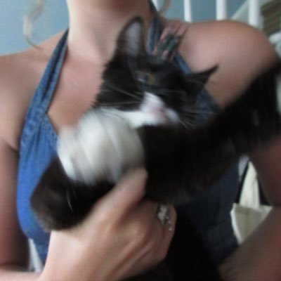 Ia5vi's profile picture. 