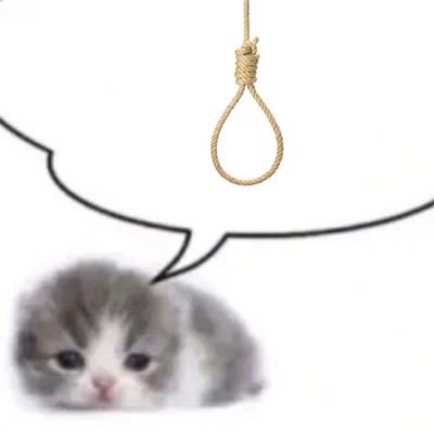 novoneny's profile picture. 