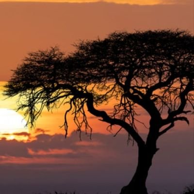 HeiHeipa18580's profile picture. 