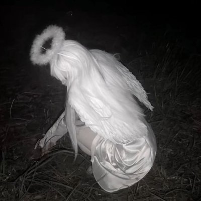 xv1wshz's profile picture. 