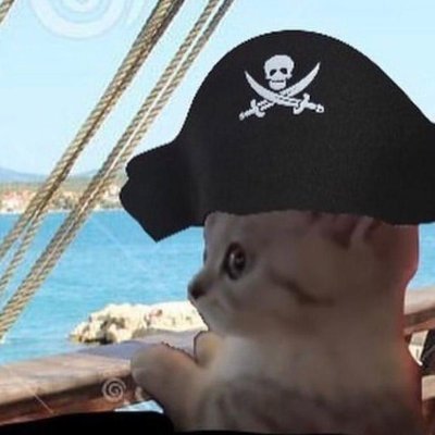 JeNonJeOui's profile picture. 