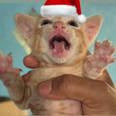 gmelvianna's profile picture. 