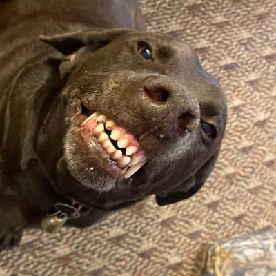 KevinCasperWid's profile picture. 🇺🇸Veteran, student of life, biologist, tinkerer. Enjoy my random photo’s of  projects and experiences of my life in the southwest, and political complaints.