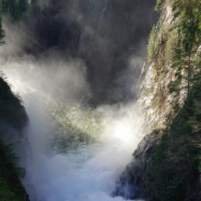 lovvipop's profile picture. beep boop