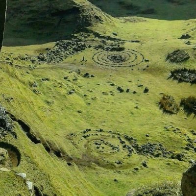 krym_ia's profile picture. 