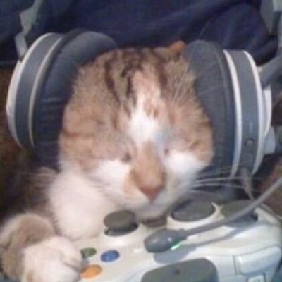 milililililiyt's profile picture. 