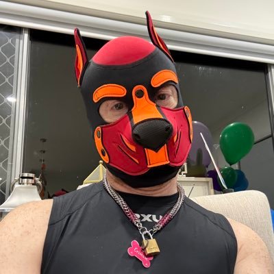 Pup Crimson 🇦🇺🏳️‍🌈