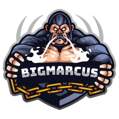 bigmarcus_00's profile picture. Senior Admin @FrenchCup
Team Manager for 2LATE4STOP Esport team

Contact discord BigMarcus#7511