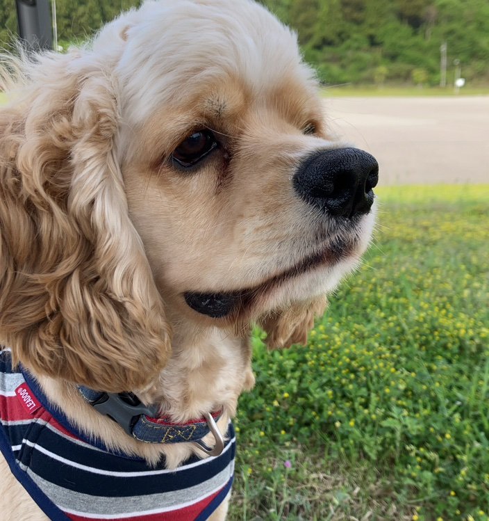 koutanwzp8's profile picture. 