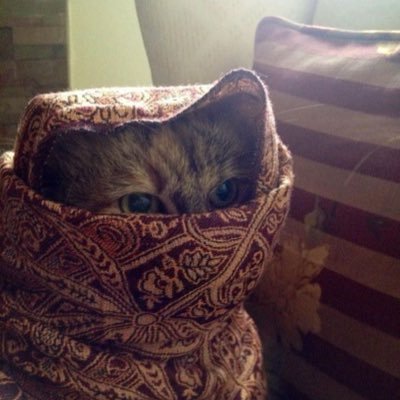 14_depth's profile picture. 