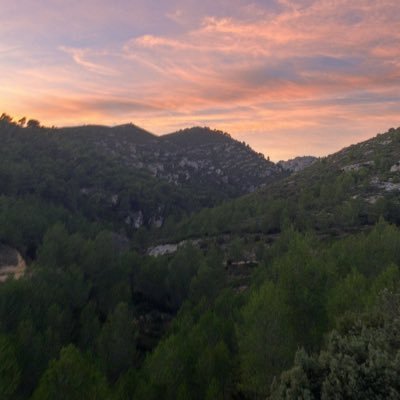 time_to_learn_'s profile picture. 