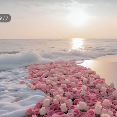 Deema274's profile picture. الحمدالله دائما وابداً🤍🤍