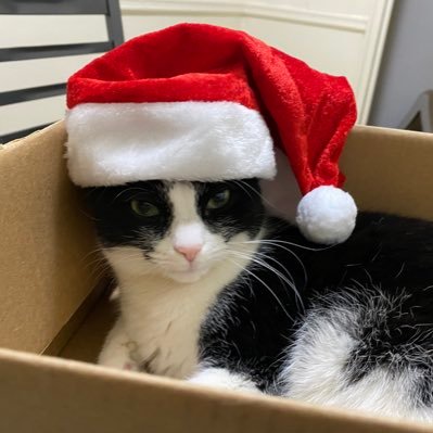 Morena0531's profile picture. 5 year old babyyy girl (DOB: 7/22/20 & GD: 11/08/20) living in New York, having my best life & getting everything I want ❤️