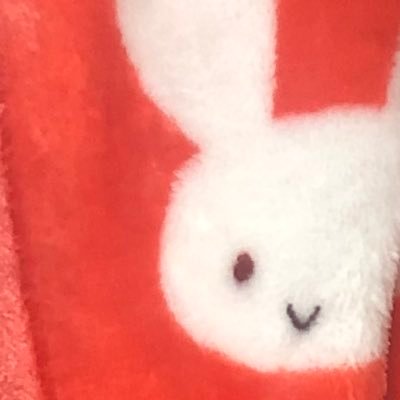 Frache222815's profile picture. うさちゃん毛布は紳士の証🐰