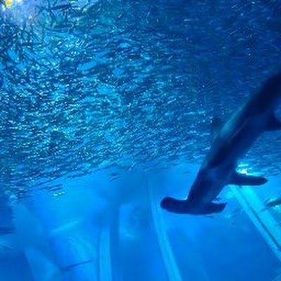 Ob9Qgcvoix2994's profile picture. 