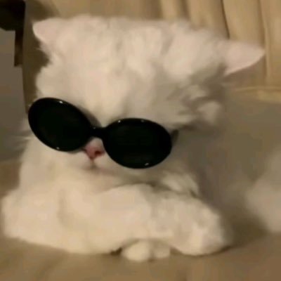 jw771933's profile picture. 打狗是币圈新人唯一的出路