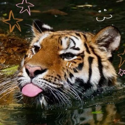 Horangii:3 (ALT ACC) Profile