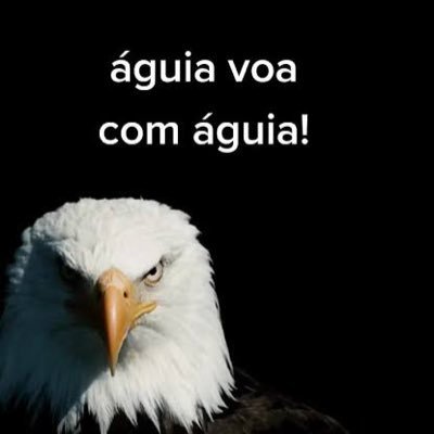 Veneno157171's profile picture. 