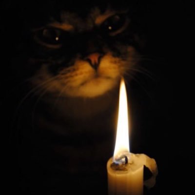 LORDHEIRO's profile picture. Fuck CEXs