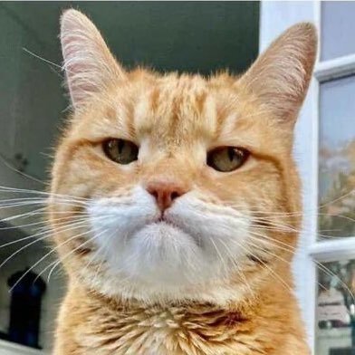 dadaooc's profile picture. 