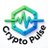 Crypto Pulse