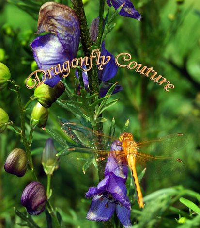 drgnfly_couture's profile picture. FUN AND FUNKY HATS AND COFFEE COZY'S FOR ALL AGES!
I will make custom made orders upon requests!