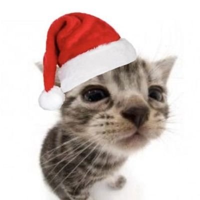 dugatito's profile picture. 😽