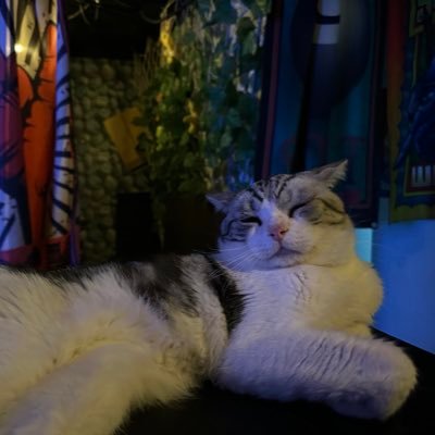 4Rwuocf21W53969's profile picture. 