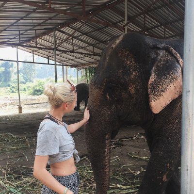 Lindsay2288_'s profile picture. Anti Marxism and Communism

🇺🇸🇺🇸🇺🇸