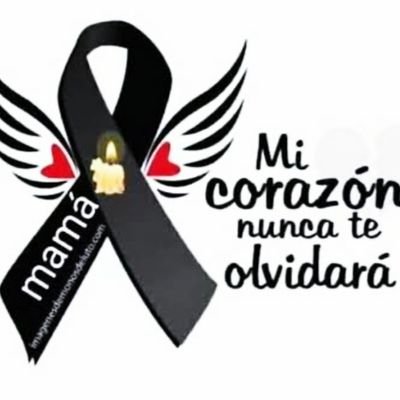 KingJavierT's profile picture. Fotografo de profesión 📷

Manager de modelos OF y Fansly 🔥

Moderador en Twitch desde hace 7 años 💙

DM para info, no te arrepentirás de la oportunidad! 😎💵