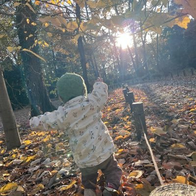 nyanyanya4321's profile picture. 2024/5/2娘爆誕&新米ママ🤱 21週目に妊婦健診にて子の先天性心疾患❤️‍🩹 #三尖弁閉鎖#右室低形成#心室中隔欠損#肺動脈閉鎖 9/19グレンope→10/2退院(入院日数153日) 娘はドラマ孤独のグルメらぶ🫶🏻母はおもちゃと海外子供服勉強中📖無言フォロー失礼します🙏