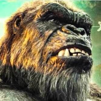 BasedGodOfHope's profile picture. Multifandom connoisseur and overall media enjoyer. Mootie pie: @Vi0letRaven