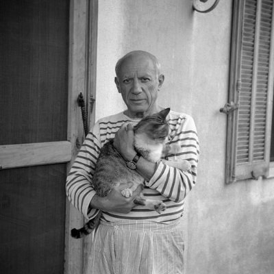 _petcollective_'s profile picture. Handpicked pet goods. Elevated living for you and your companion.