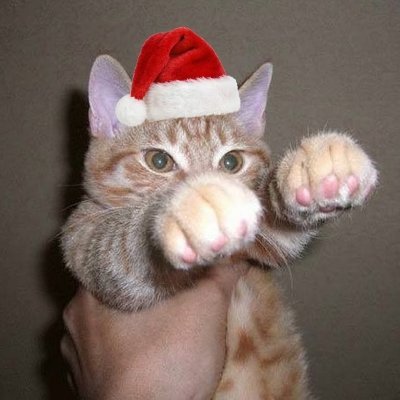 s1nj1nar's profile picture. Trynna be happy.

BTC will make me rich