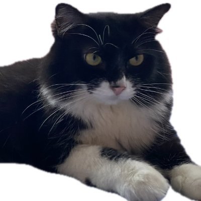 143xself's profile picture. ILYSM @AngelssBecky 🦦🧋 & @srchafreen 🐰🌷