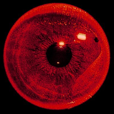 architectarcain's profile picture. 👷🏾‍♂️System Architecture Intern •👨🏾‍💻Backend Engineer • Also a multi-disciplinary with insatiable lust for enterprise-grade problem solutions.