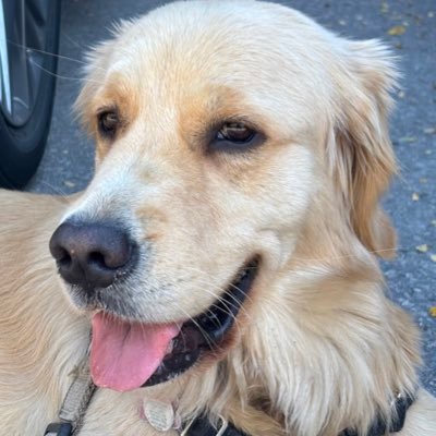 SarahjaneGille1's profile picture. Animal lover, Coffee Lover, Travel, Hockey & Tennis