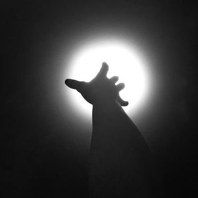 𝕋𝕠𝕟𝕦x #𝟛𝟙𝟛 Profile