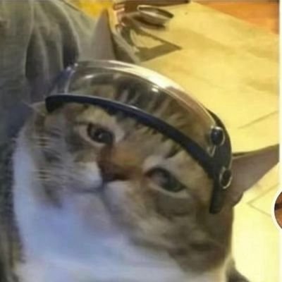 0NS0ro7PUz58510's profile picture. 要威又要带头盔。

战壕幸存者

3VotTnL67b8WAebpVFKUfy2AJBBYnxyJGMUDvZXTMw6S