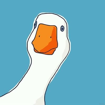 huipatat's profile picture. I don't know what to write in this bio.