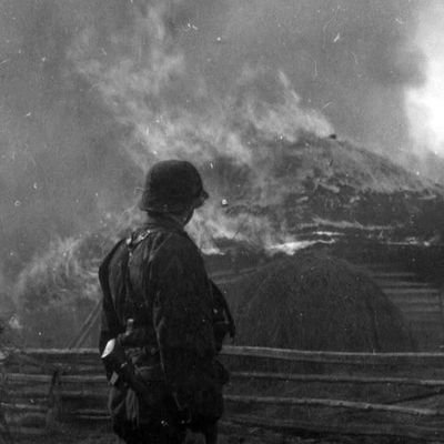 mpp2908's profile picture. 