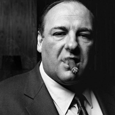 CHADTOSHiHOMIE's profile picture. bullish homie always hitting the spot ❤️🐸