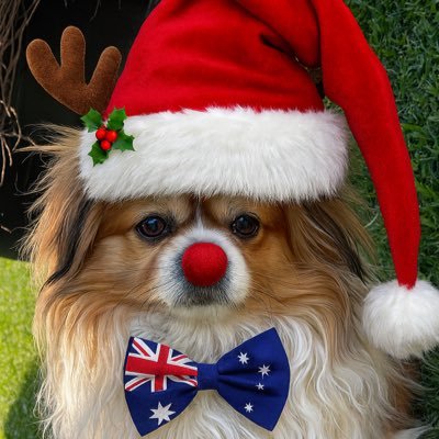 🇦🇺🐾🐶 LCDR JASPA #ZSHQ 🐶🐾🇦🇺 Profile