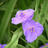 maranata119's profile image