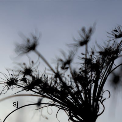 SandraBeeKind's profile picture. 🇨🇦 Sports: Baseball, Hockey, Football, Golf, Curling & Team Canada. ♥️ Reading, music 🎶, nature & photography 📷. NO DM’s or Tags please. #LightsUpLetsGo