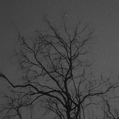 Mitesh_1200's profile picture. philosophy 📚
astronomy 🌌