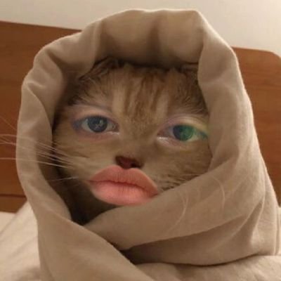 nadnanad__'s profile picture. 